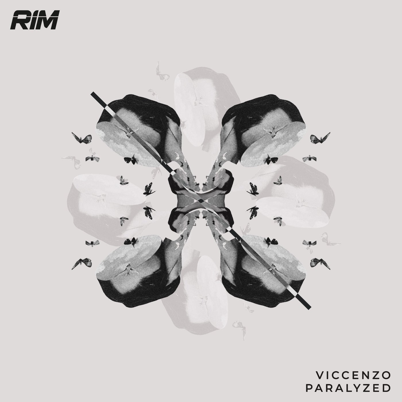 Viccenzo – Paralyzed [RIM056]